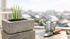 コンクリートブロックで長ネギ栽培ができる理由とベランダ菜園の始め方